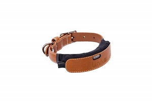 Link AKC Dog Tracking Collar with LED.jpg
