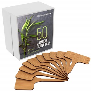50 Bamboo Plant Labels in Gift Box.jpg